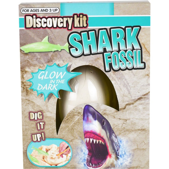 Glow-In-The-Dark Shark Egg Fossil Kit Display Box (12 Pcs)