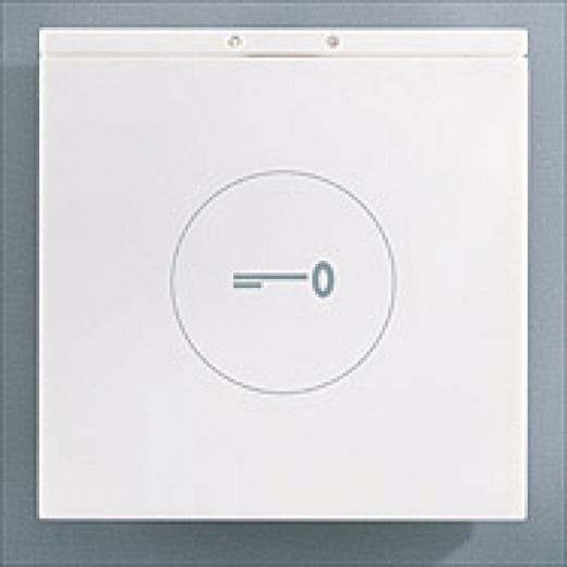 Prox. Panel Module Only--White