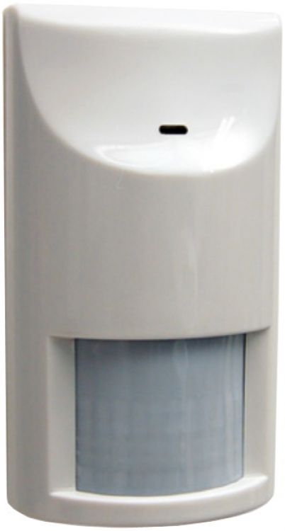 Wireless Motion Detector - PIR