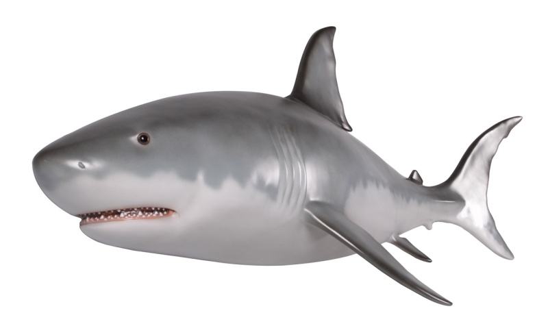 Wall Mounted Great White Shark 6Ft