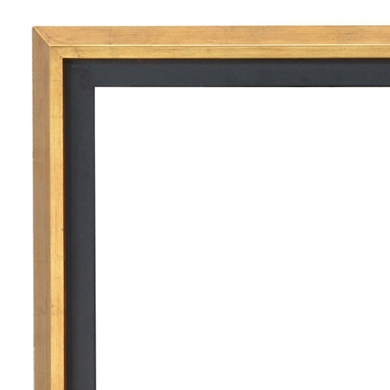 Modern Float Frame Only 36X36 Gold