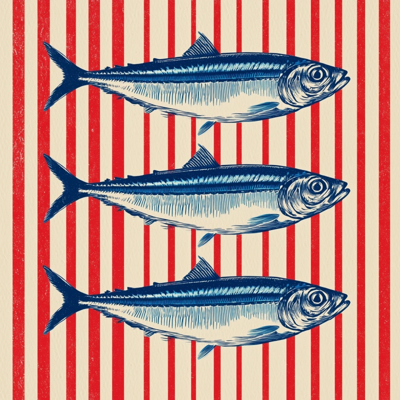 Sardines Giclee