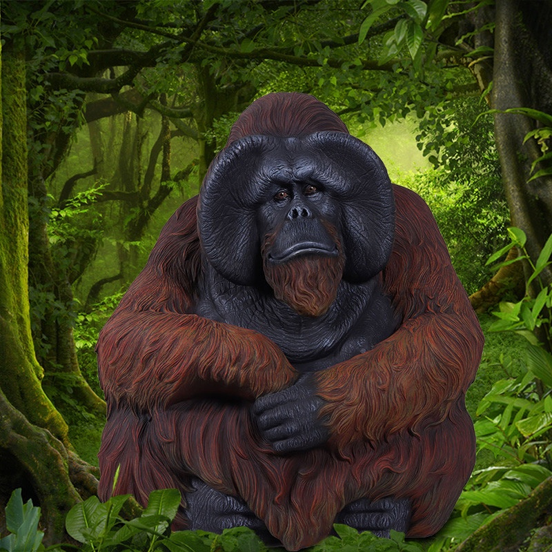 Sitting Orangutan