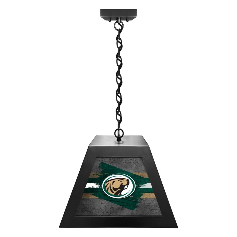 Bemidji State University Pendant Box Light By Holland Bar Stool Company