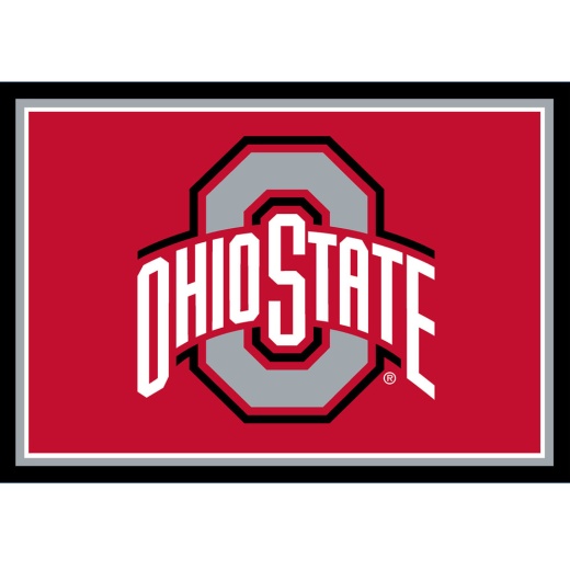 Ohio State 3X4 Area Rug