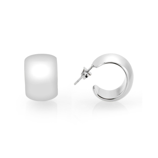 Alamode 3W1740 Imitation Rhodium Brass Earring - No Stone