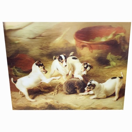 48 Pieces Hedgehog Canvas Picture - Unique Wall Decor