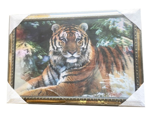12 Pieces Tiger And Lady Canvas Picture Wall Art - Wall Decor