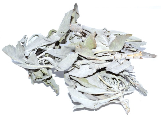 White Sage 1Oz (Salvia Apiana)