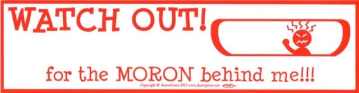 Watch Out! For The Moron Behind Me Bumper Sticker