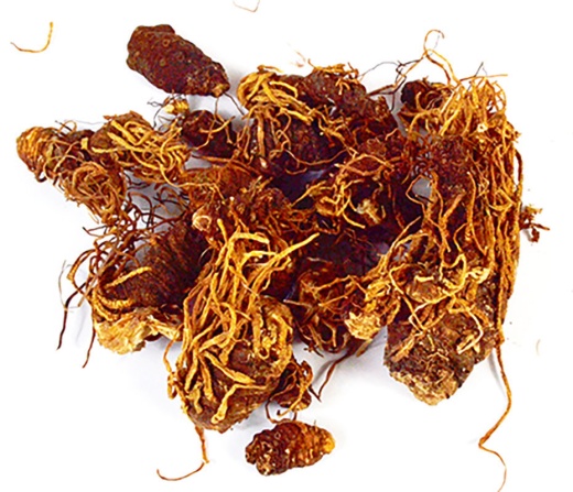 Beth Root Whole 1Oz