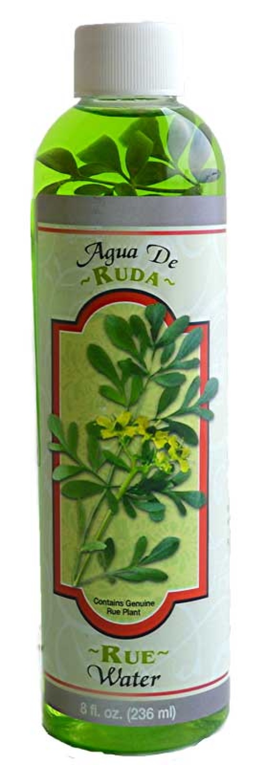 8Oz Rue (Ruda) Water for Blessing and Protection