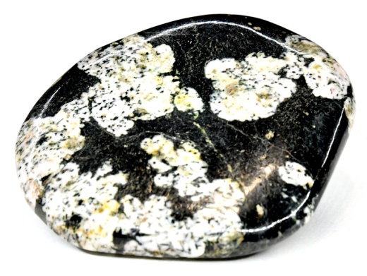 Black Jade Palm Stone - A Powerful Protective Crystal