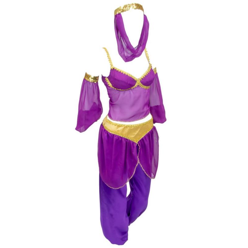 Women's Genie Adult Costume