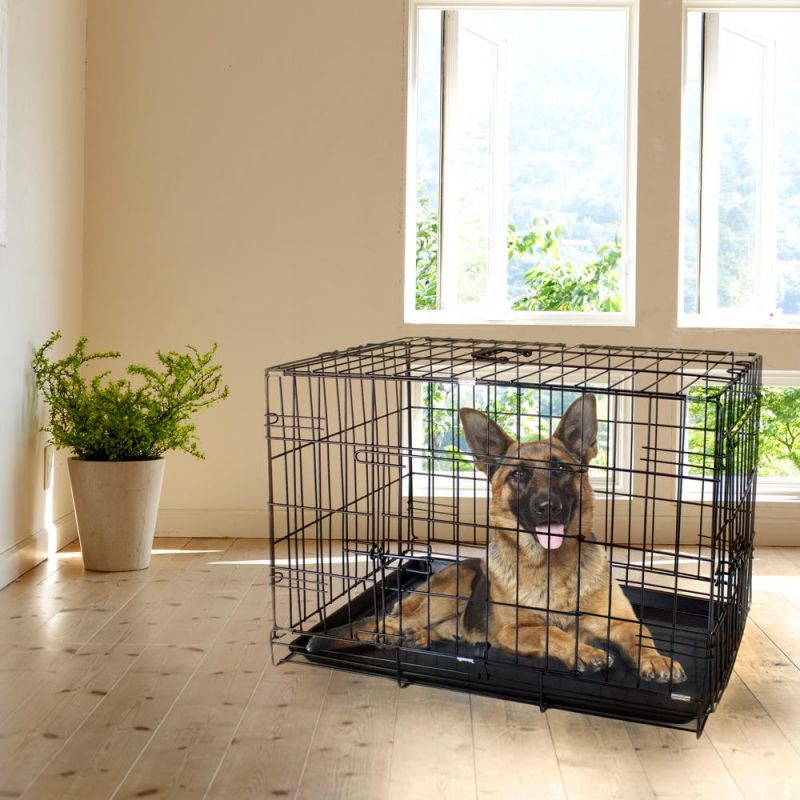 30" Medium Dual-Door Folding Pet Crate With Removable Liner