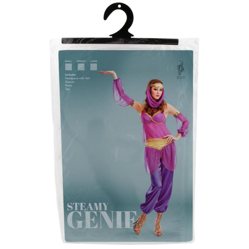 Women's Genie Adult Costume, m