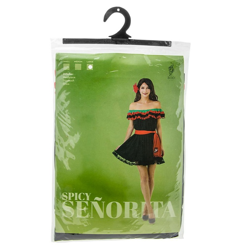 Flamenco Adult Costume, s