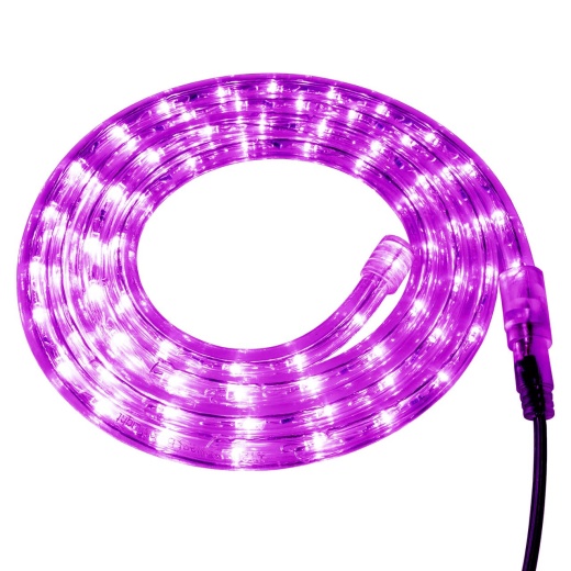 Fuchsia LED Rope Light - 120 Volt