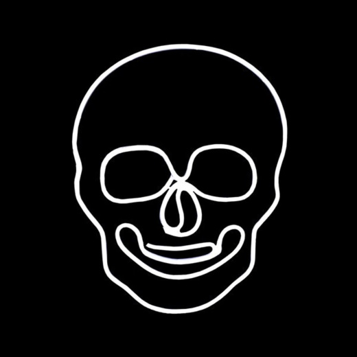 Led Neon Rope Light Halloween Skull Motif - Lighted Silhouette - Cool White - 24 Inch