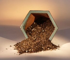 Tropical Mix Bonsai Soil (Indoor Trees) - 2 Lbs. (1 Qt.)