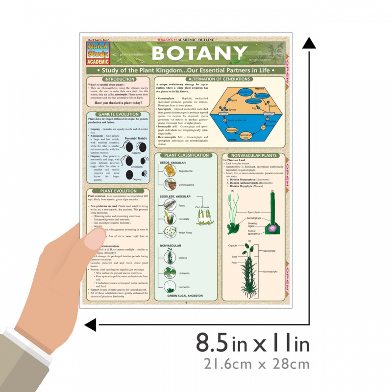 Quickstudy | Botany Laminated Study Guide