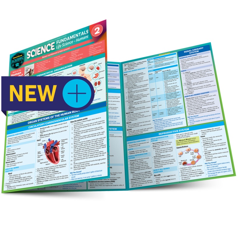 Quickstudy | Science Fundamentals 2: Life Science Humans Laminated Study Guide