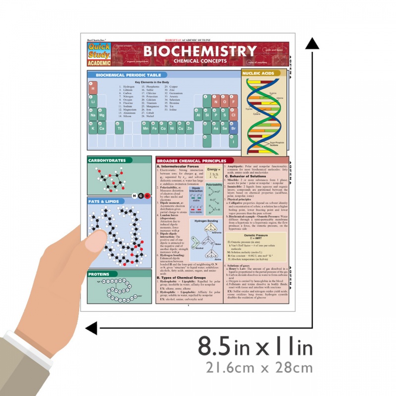 Quickstudy | Biochemistry Laminated Study Guide