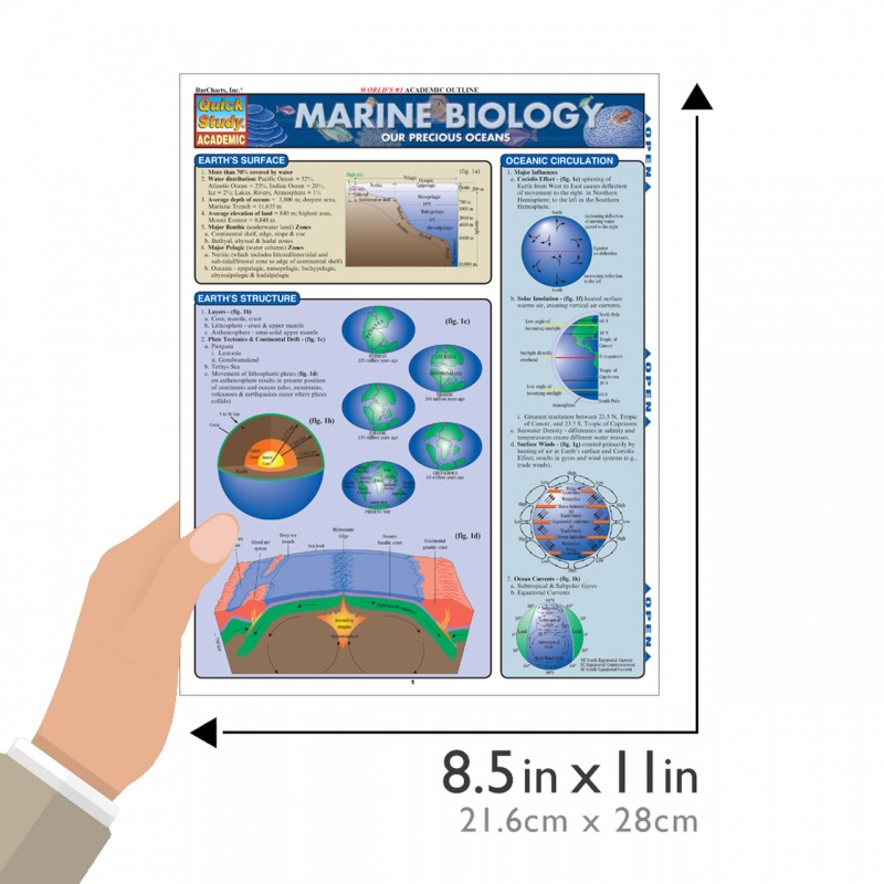 Quickstudy Marine Biology Laminated Study Guide