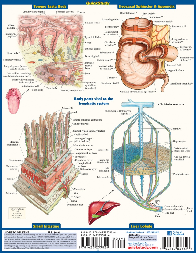 Quickstudy | Lymphatic System Laminated Study Guide