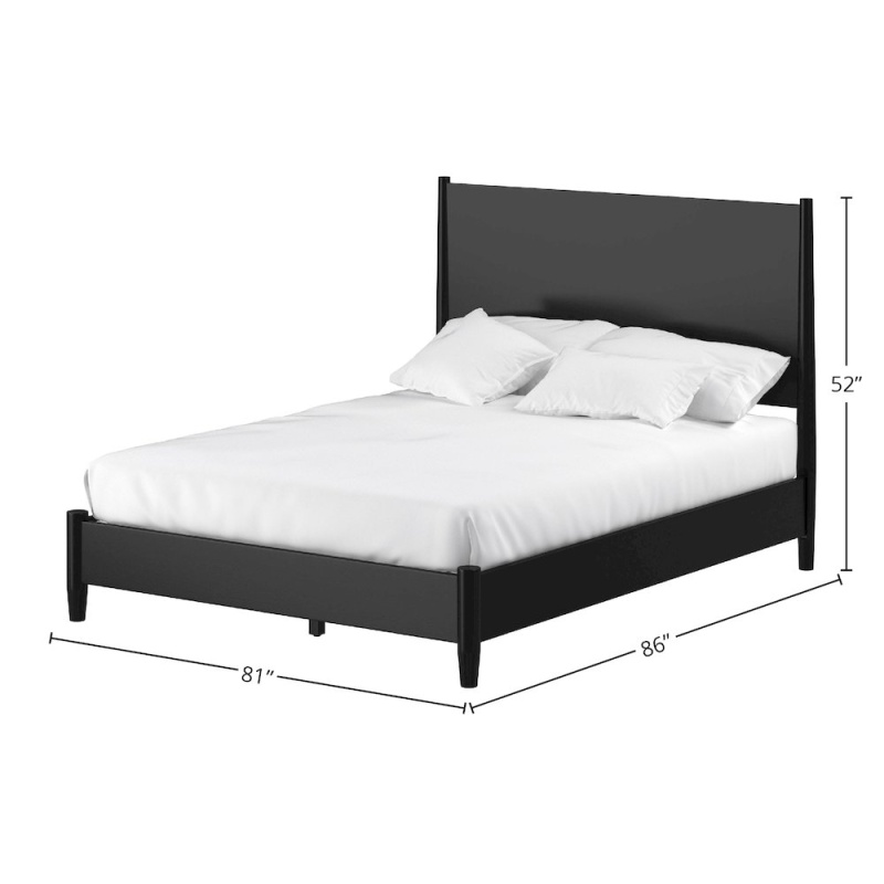 Flynn Mid Century Modern Standard King Panel Bed, Black