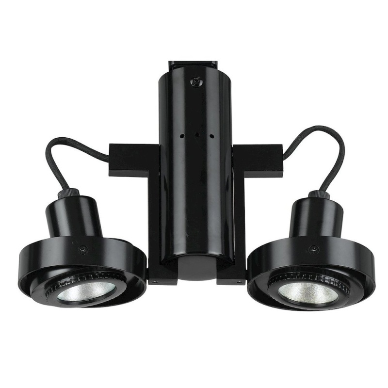 12V MR-16 2-Light Fixture