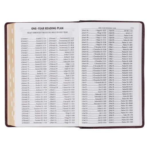 KJV Bible Giant Print Standard-Size Full-Grain Leather, Burgundy/Mahogany