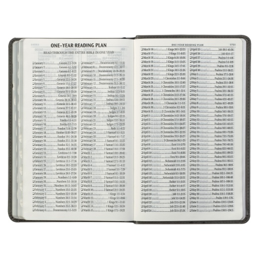 KJV Bible Giant Print Standard-Size Faux Leather, Gray/Black