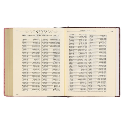 KJV Note-Taking Bible Faux Leather Hardcover, Brown/Pink