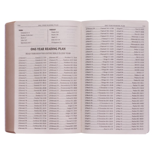 Kjv Bible Gift & Award Faux Leather, Purple