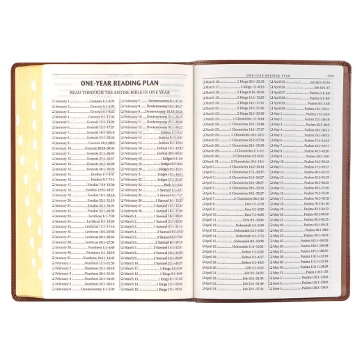Kjv Bible Thinline Lp Faux Leather, Antiqued Brown