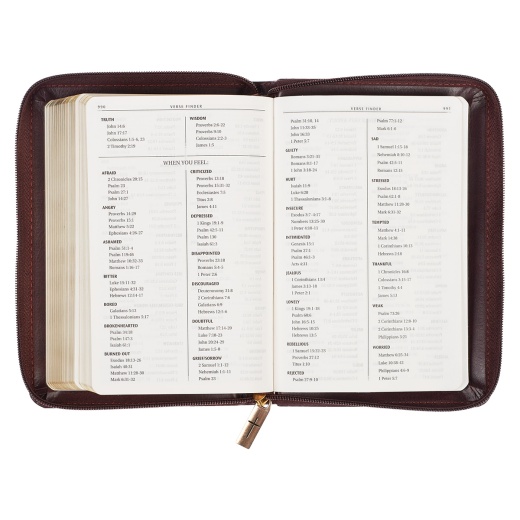 Kjv Bible Compact Faux Leather, Burgundy/Saddle Tan W/Zipper