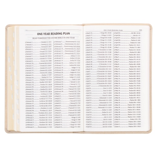 Kjv Bible Deluxe Gift Faux Leather, Pearlescent Taupe