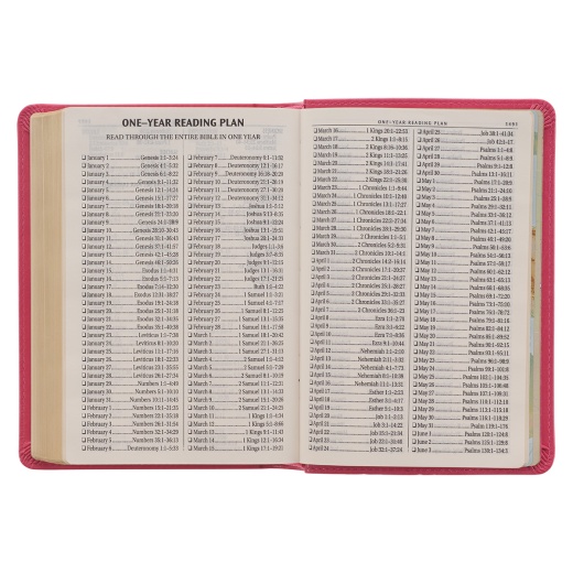 Pink Faux Leather Compact KJV Bible - Large Print Compact King James Version