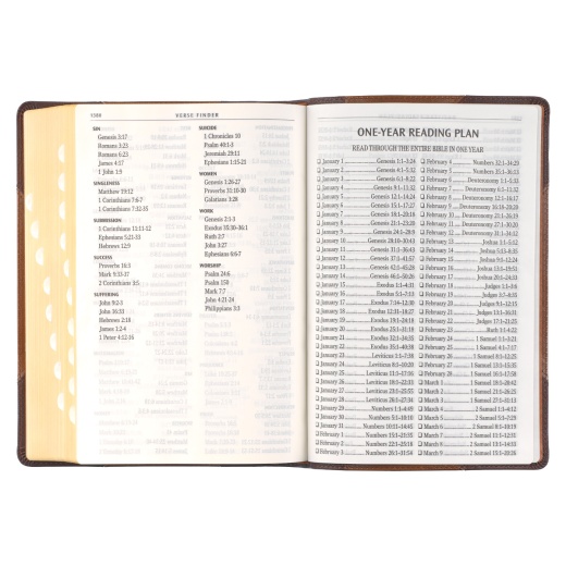 KJV Bible Giant Print Full-Size Faux Leather, Brown Two-Tone