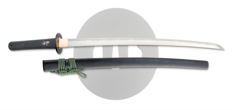 Modern Wakizashi By Dragon King