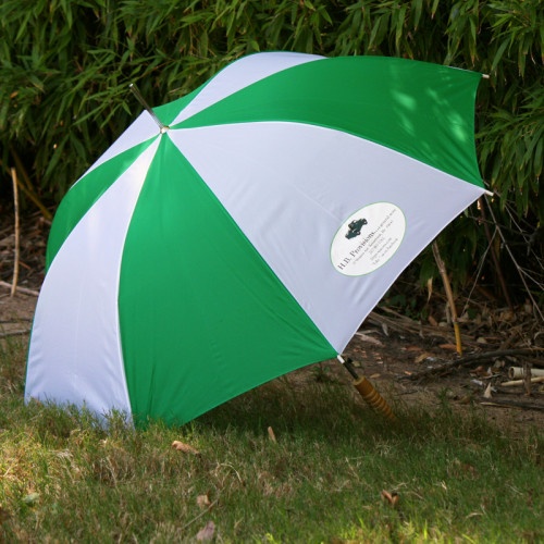 Green/White Custom Print Umbrella For Advertising