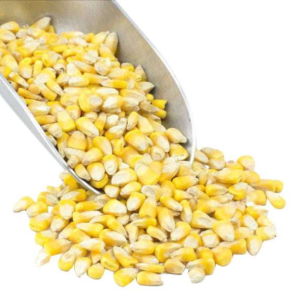 Corn, Whole Yellow, Organic