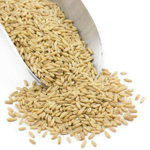 Whole Oat Groats