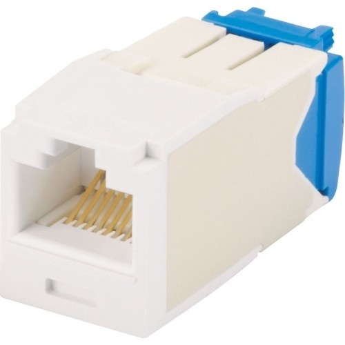 Panduit Network Connector - 1 Pack - RJ-45 Female - White