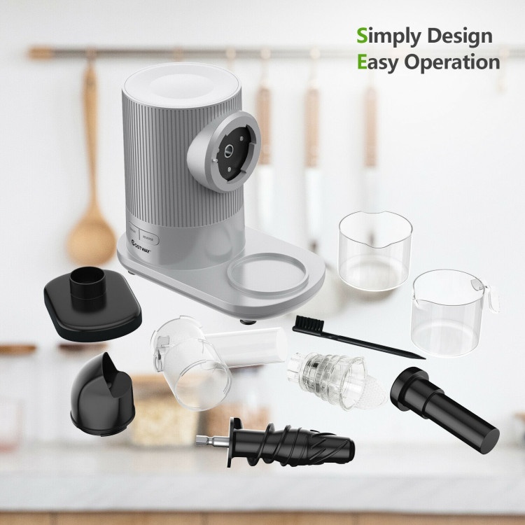 Horizontal Slow Masticating Extractor Juicer With Brush