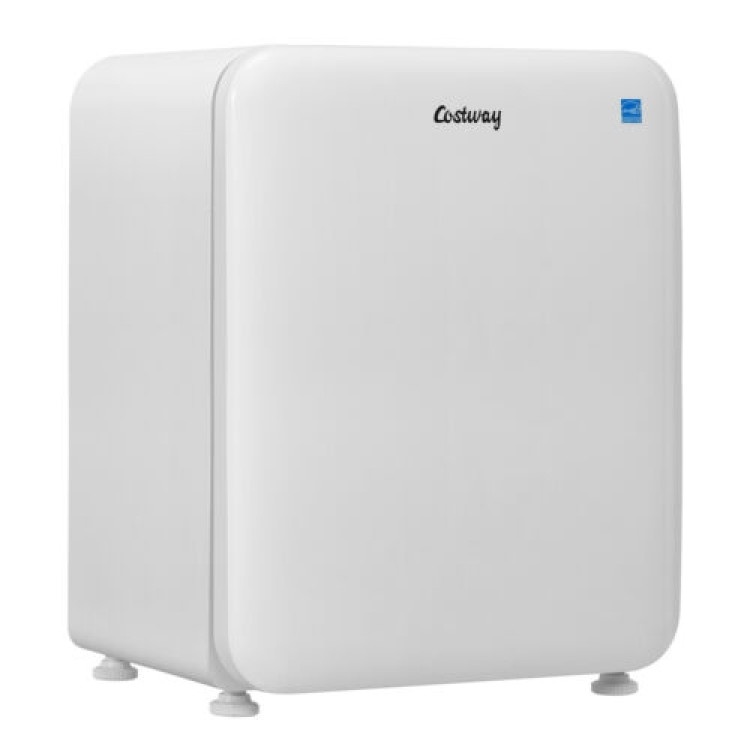 2.4 Cubic Feet Compact Refrigerator Auto Defrost Mini Fridge Reversible Door