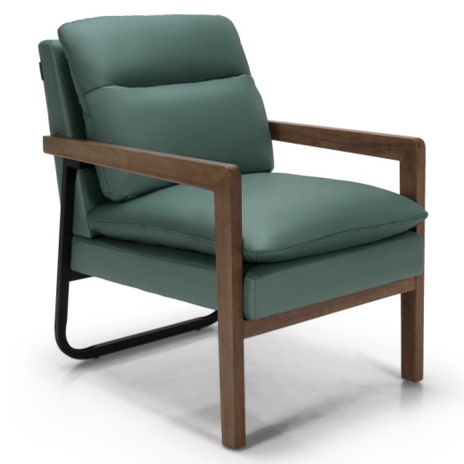 Single Sofa Chair With Extra-Thick Padded Backrest