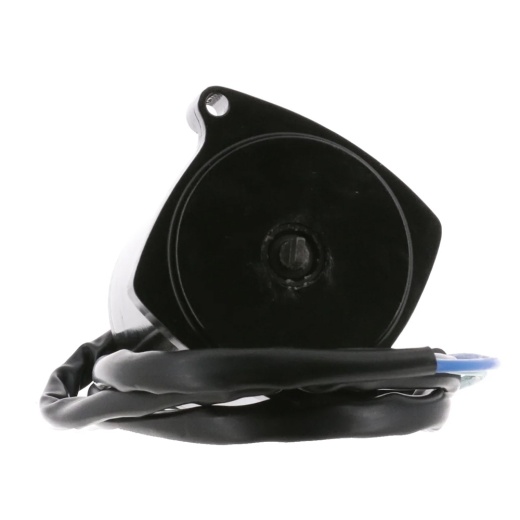 Arco Marine Replacement Outboard Tilt Trim Motor - Late Model Mercury, 2-Wire