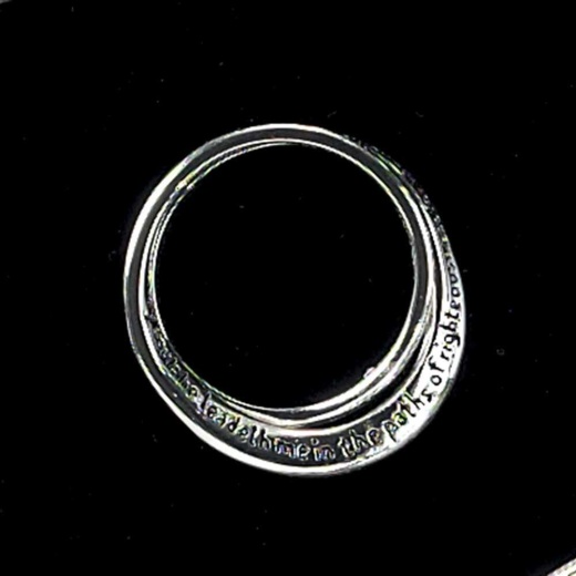 Rng-Sp Inspir Dbl Ps23/Sz7 Silver Plated InspiRing Size 7